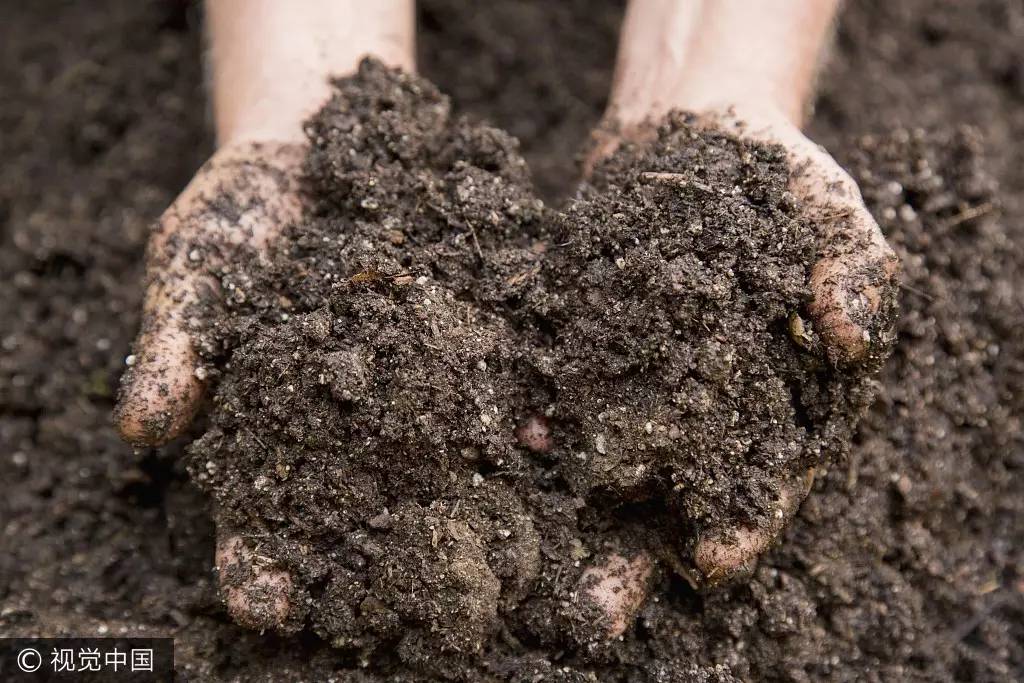 農業用地 土壤污染 農業用地 土壤污染