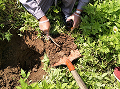 華清環境土壤采集樣品 華清環境土壤采集樣品