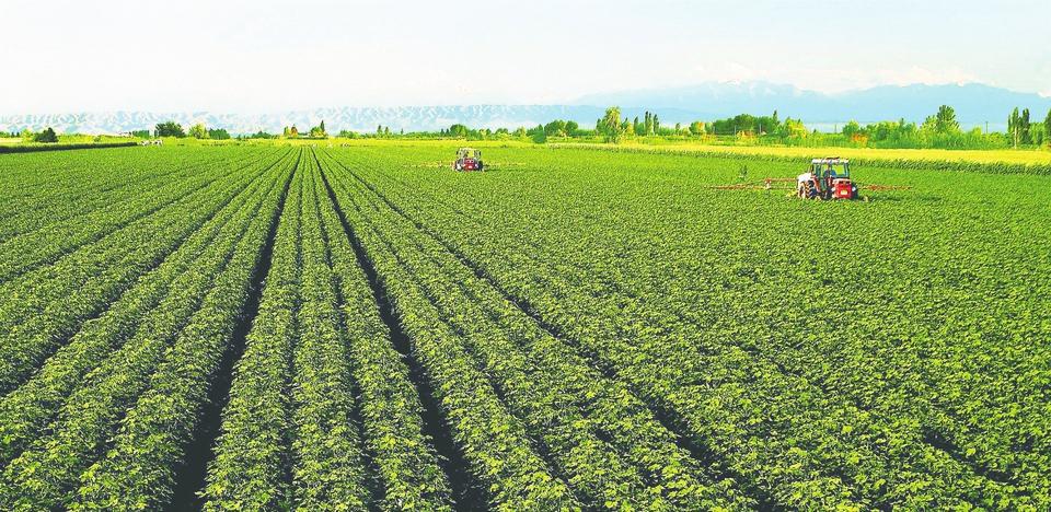 土壤修復新技術(shù) 土壤修復新技術(shù)