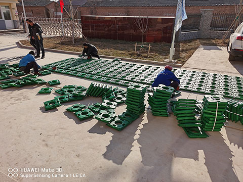 仿生水草 仿生水草