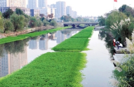 1614766358130678.jpg 浮島小.jpg