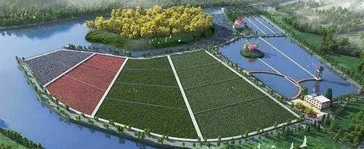 1614842660487402.jpg 植物1.jpg