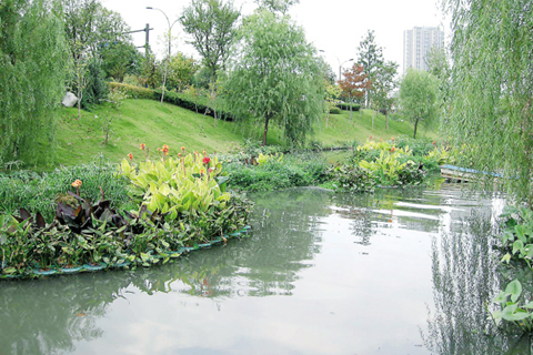 1629163068412657.png 圖片1_副本.png