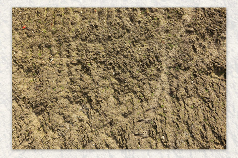 <a href=http://www.ytkymj.com/turangjiance.html>土壤檢測</a> 土壤檢測