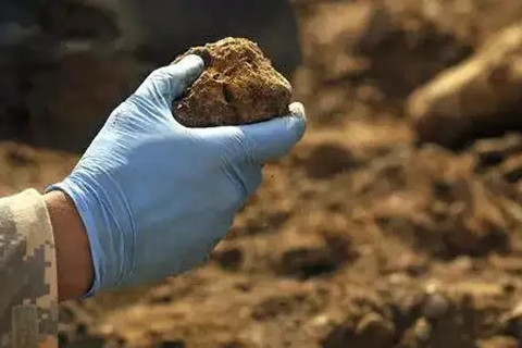 <a href=http://www.ytkymj.com/turangjiance.html>土壤檢測</a> 土壤檢測