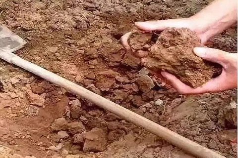 土壤調查 土壤調查