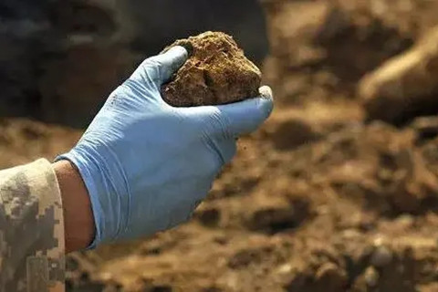 <a href=http://www.ytkymj.com/turangjiance.html>土壤檢測</a>.jpg 土壤檢測.jpg